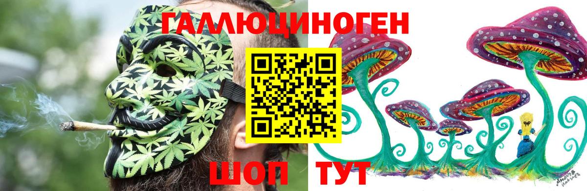 Уварово  Псилоцибиновые грибы Cubensis  Вход с VPN 